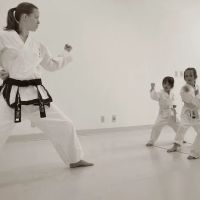 Bailey's Traditional Taekwon Do College ico