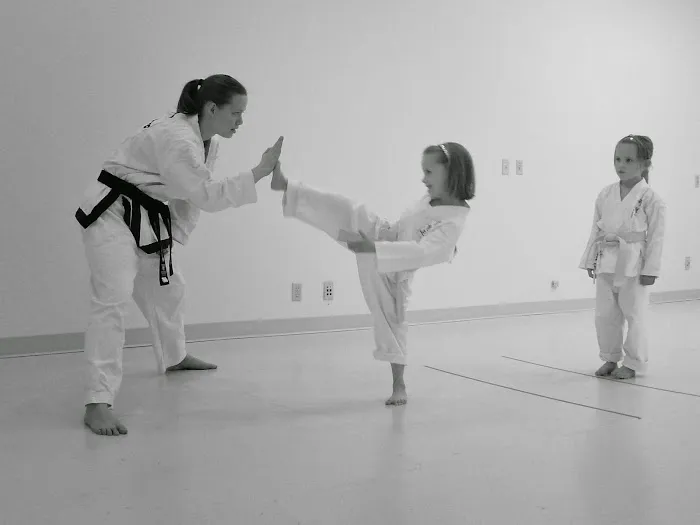 Bailey's Traditional Taekwon Do College Picture 2