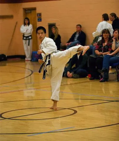 Bailey's Traditional Taekwon Do College Picture 3
