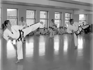 Bailey's Traditional Taekwon Do College Picture 6