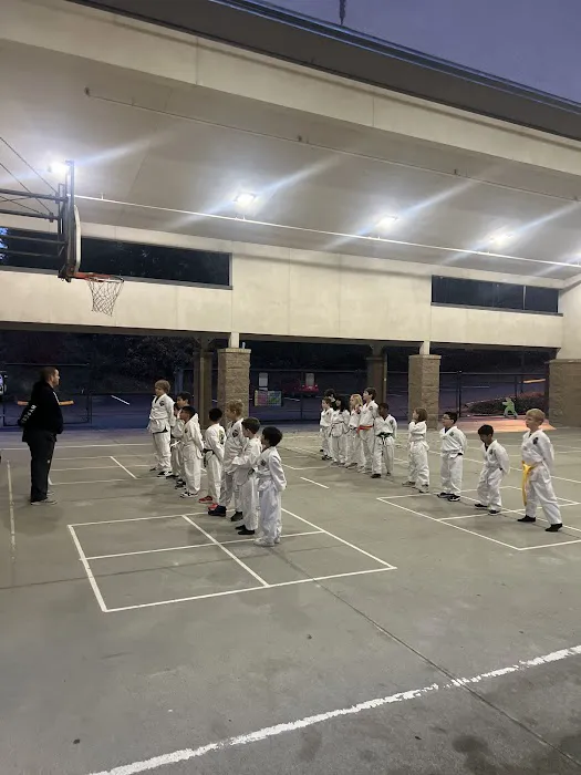 Elite Martial Arts & Family Success Center Picture 2