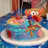 My Gym Bellevue Children's Fitness Center ico