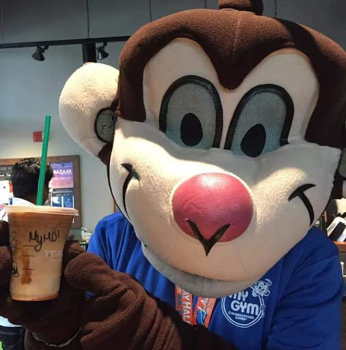 My Gym Bellevue Children's Fitness Center Picture 5