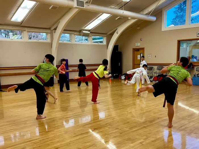 Action Martial Arts Picture 3