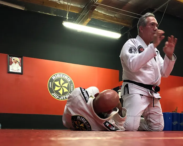 Miller's Martial Arts Academy Picture 5