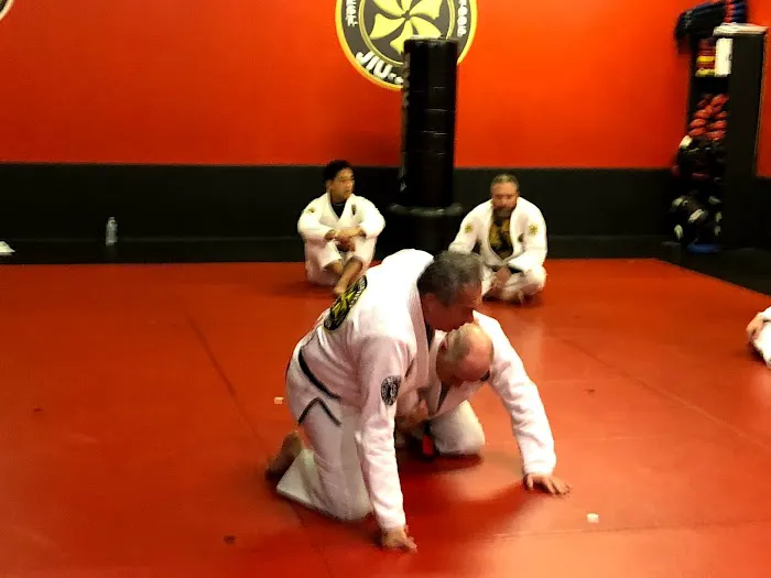 Miller's Martial Arts Academy Picture 7