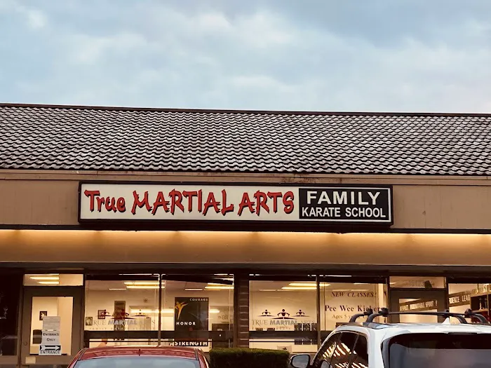 True Martial Arts Picture 1