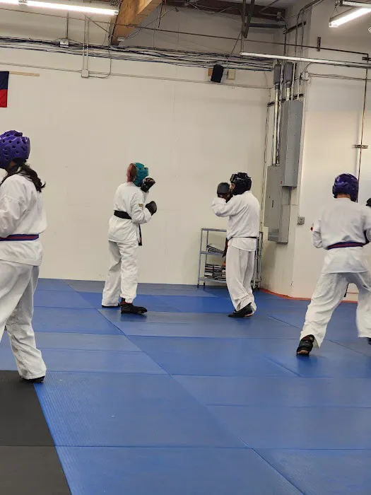 True Martial Arts Picture 3