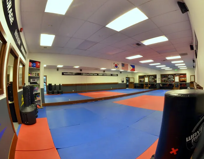 True Martial Arts Picture 9