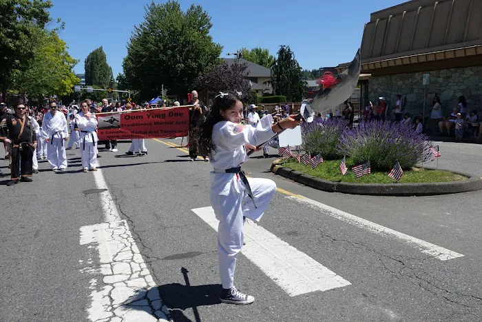 Oom Yung Doe - 8 Martial Arts - Kirkland Bellevue Picture 4