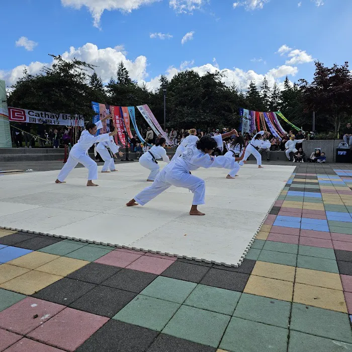 Oom Yung Doe - 8 Martial Arts - Kirkland Bellevue Picture 3
