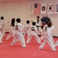 World Tae Kwon Do Center Master Park's : Sammamish Martial arts ico
