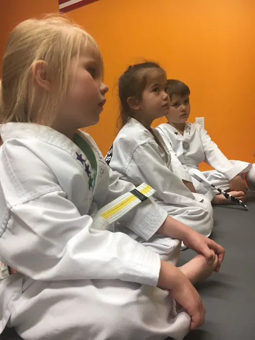 World Tae Kwon Do Center Master Park's : Sammamish Martial arts Picture 8