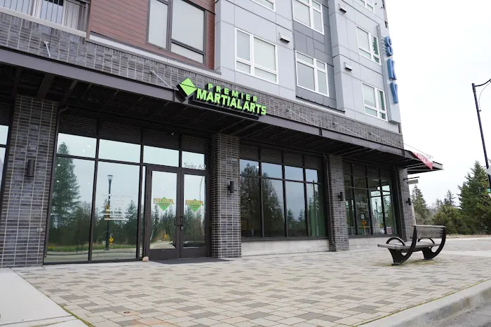 Premier Martial Arts Sammamish Town Center Picture 5