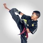 Premier Martial Arts Sammamish Town Center