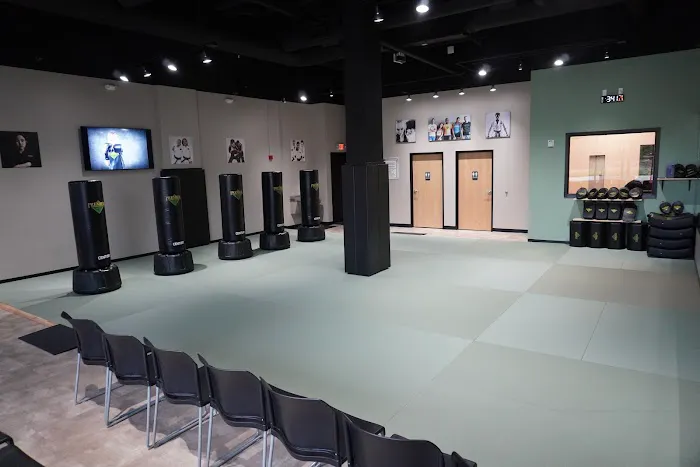 Premier Martial Arts Sammamish Town Center Picture 10