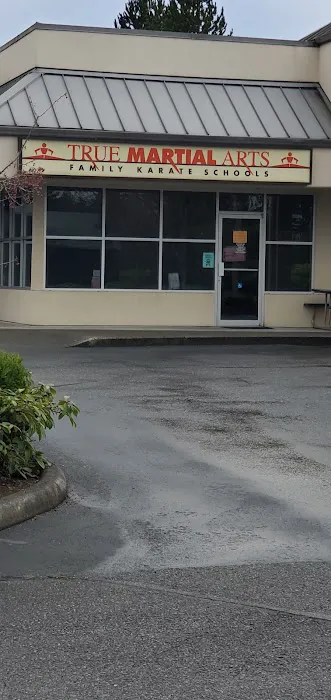 True Martial Arts Picture 2