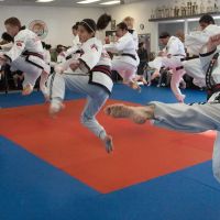 True Martial Arts ico