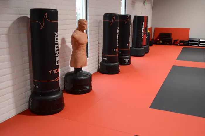 Success Martial Arts, a Kim's Tae Kwon Do School Picture 2