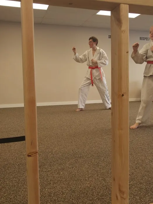 United TaeKwonDo Academy Picture 7