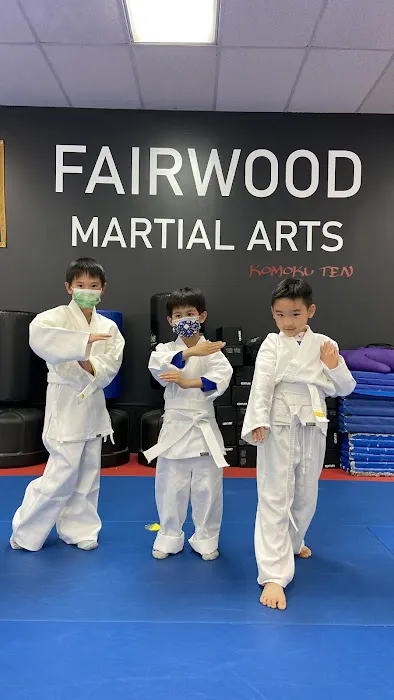 Fairwood Martial Arts Picture 3
