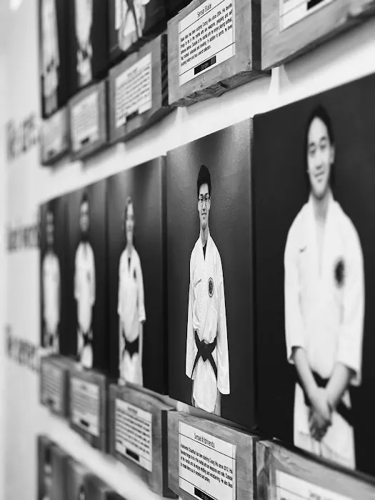 Fairwood Martial Arts Picture 5