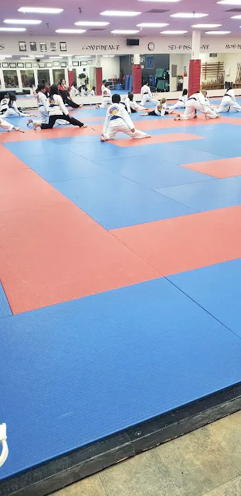 Fairwood Martial Arts Picture 7