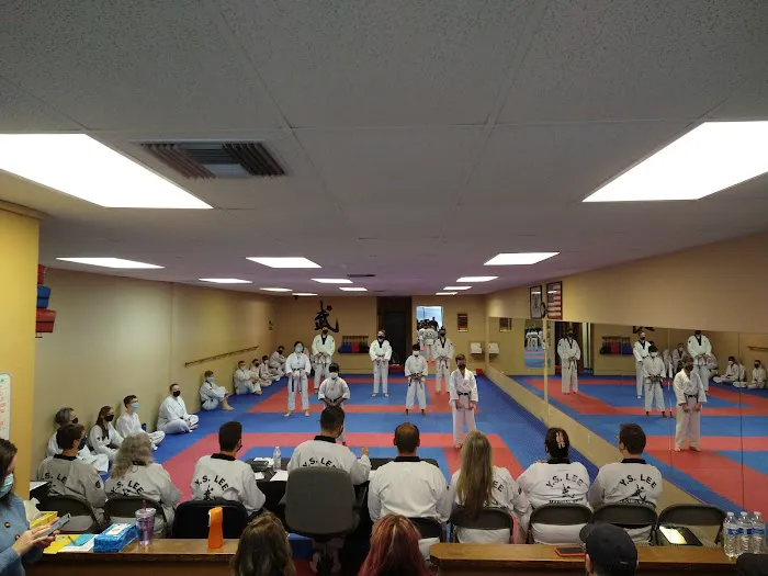 Y S Lee Martial Arts Picture 4