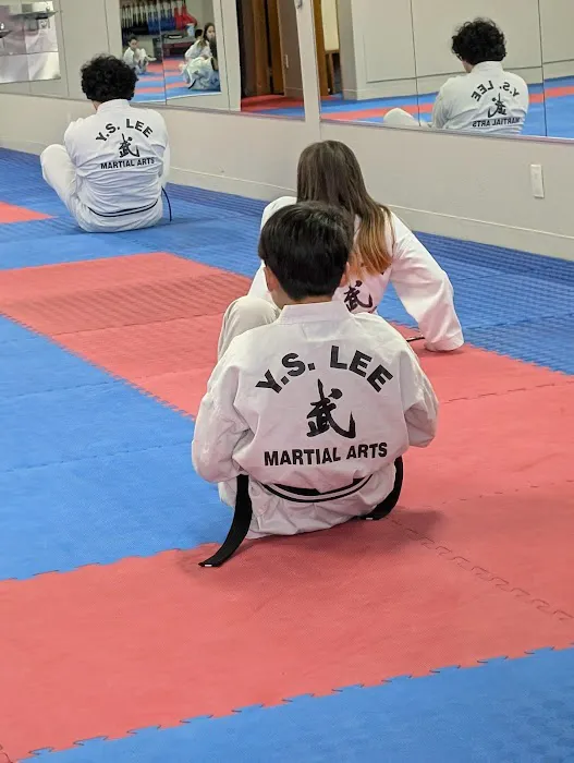 Y S Lee Martial Arts Picture 5