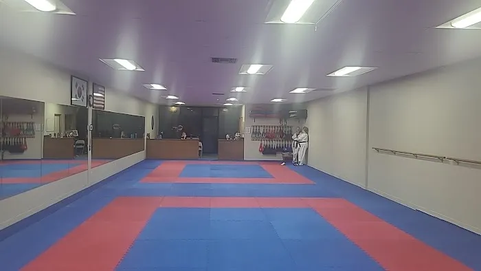 Y S Lee Martial Arts Picture 7