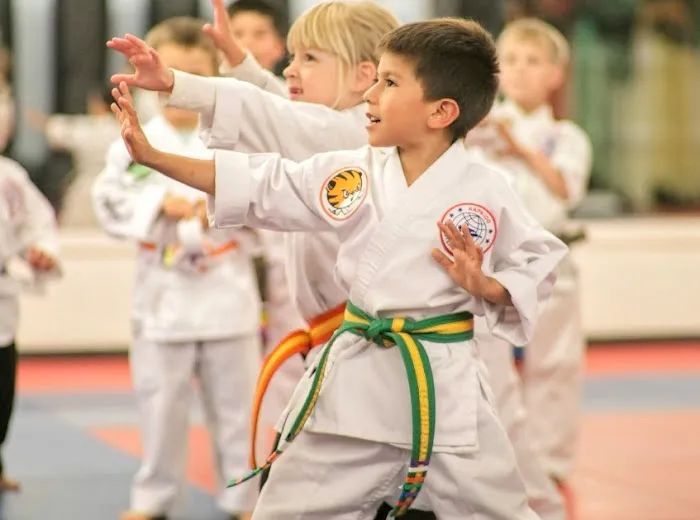 Seattle Tae Kwon Do Picture 2