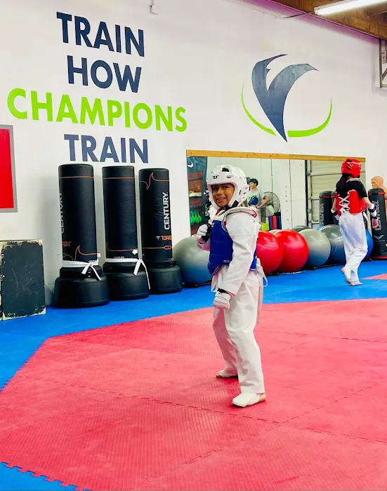 Velocity Taekwondo Center Picture 4