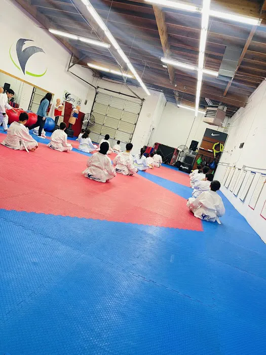 Velocity Taekwondo Center Picture 5