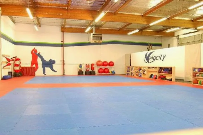 Velocity Taekwondo Center Picture 7