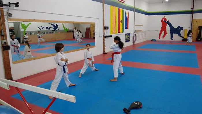 Velocity Taekwondo Center Picture 8