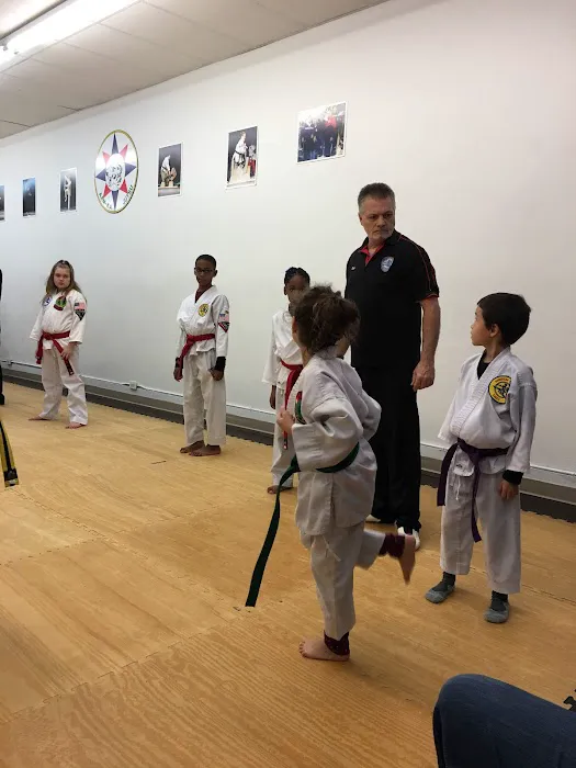 American Colleges of Mixed Martial Arts Picture 2