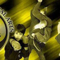 Lion's Way Martial Arts ico