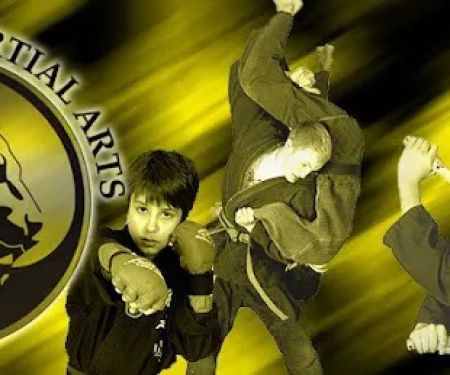Lion's Way Martial Arts