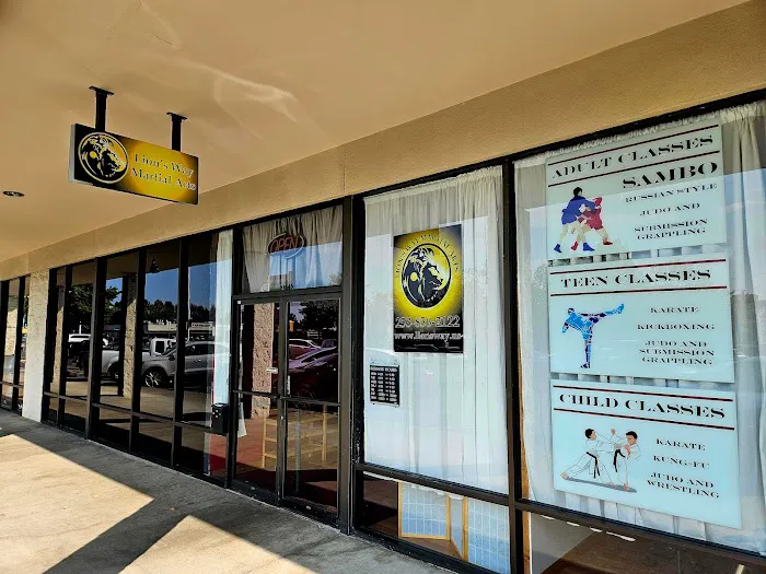 Lion's Way Martial Arts Picture 6