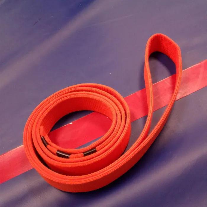 Lion's Way Martial Arts Picture 3