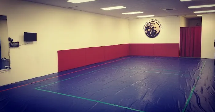 Lion's Way Martial Arts Picture 10