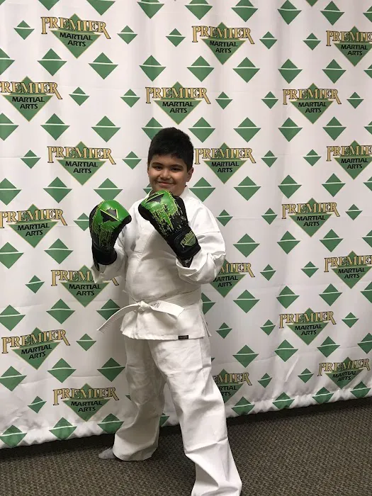 Premier Martial Arts Fairwood Picture 1