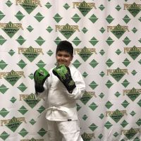 Premier Martial Arts Fairwood ico