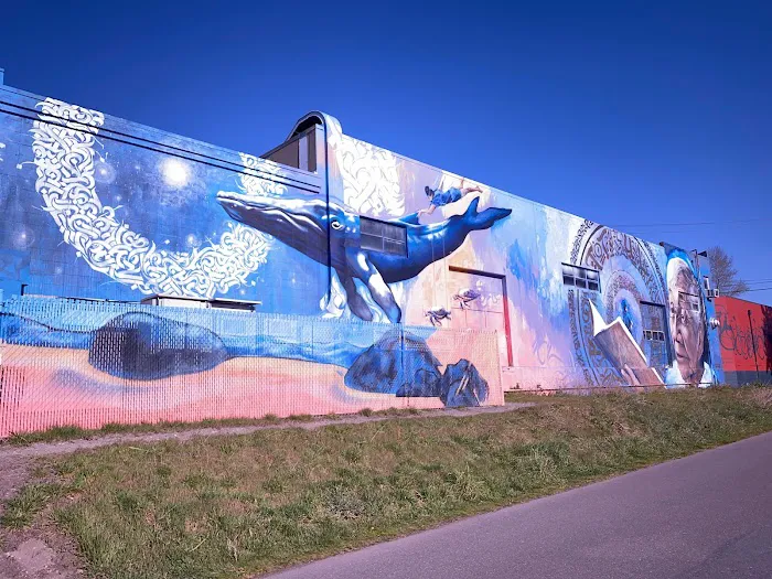 Alpha Martial Arts LLC Picture 1