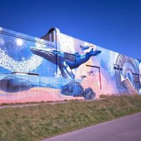 Alpha Martial Arts LLC ico