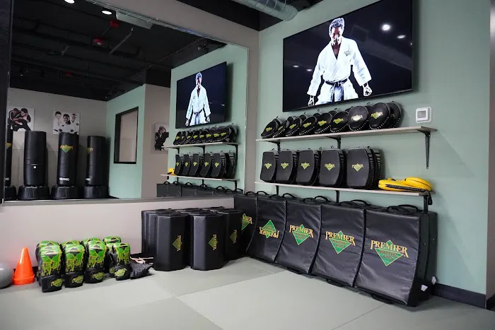 Premier Martial Arts Bothell Picture 1