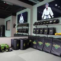 Premier Martial Arts Bothell ico