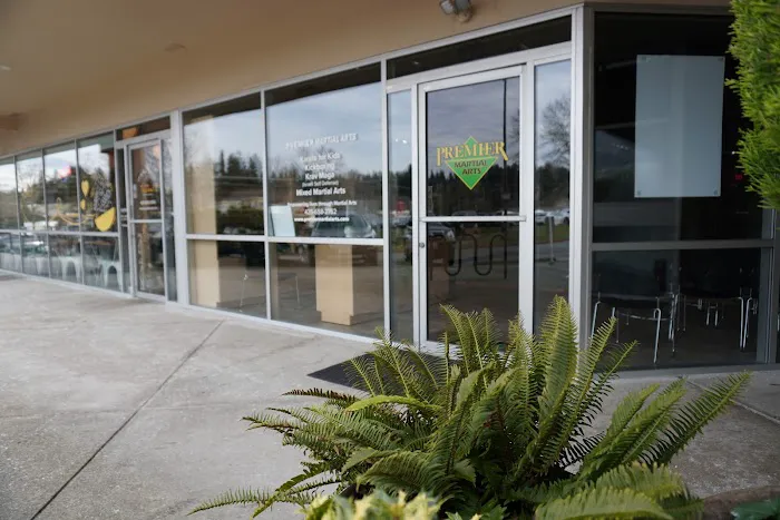 Premier Martial Arts Bothell Picture 4