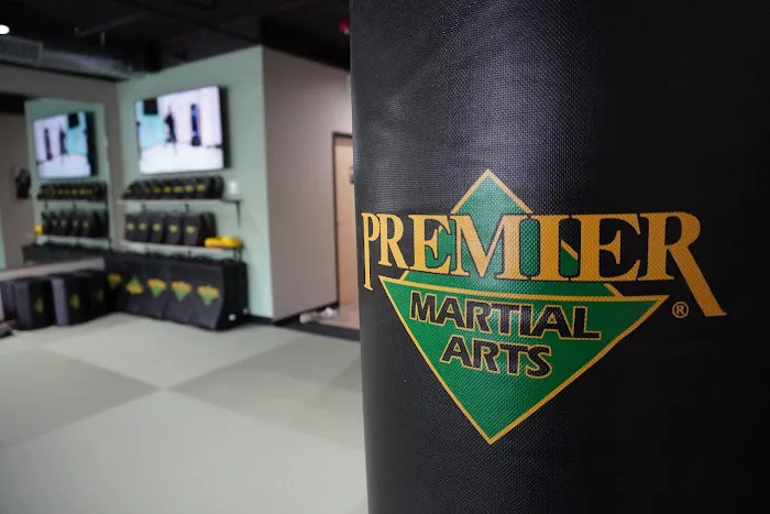 Premier Martial Arts Bothell Picture 6