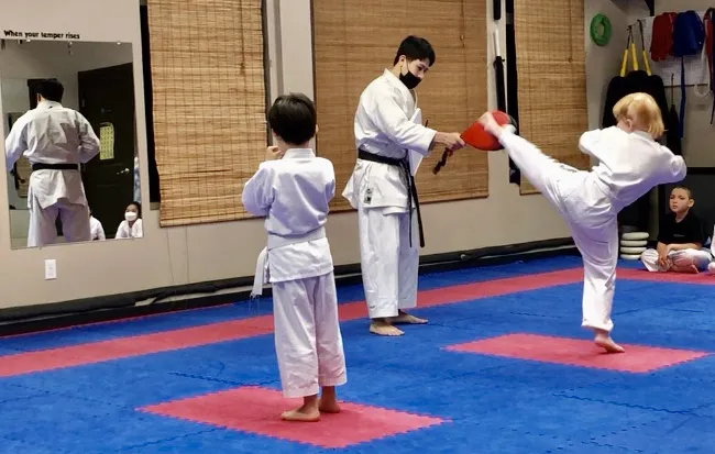 Gairyoku Karate Academy Picture 3